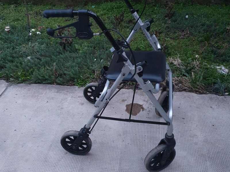 Pomoćna hodalica setalica