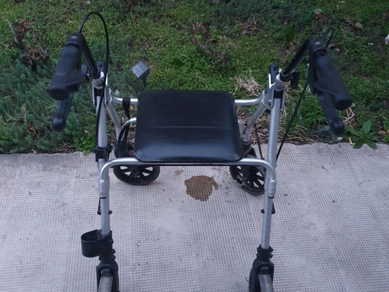 Pomoćna hodalica setalica