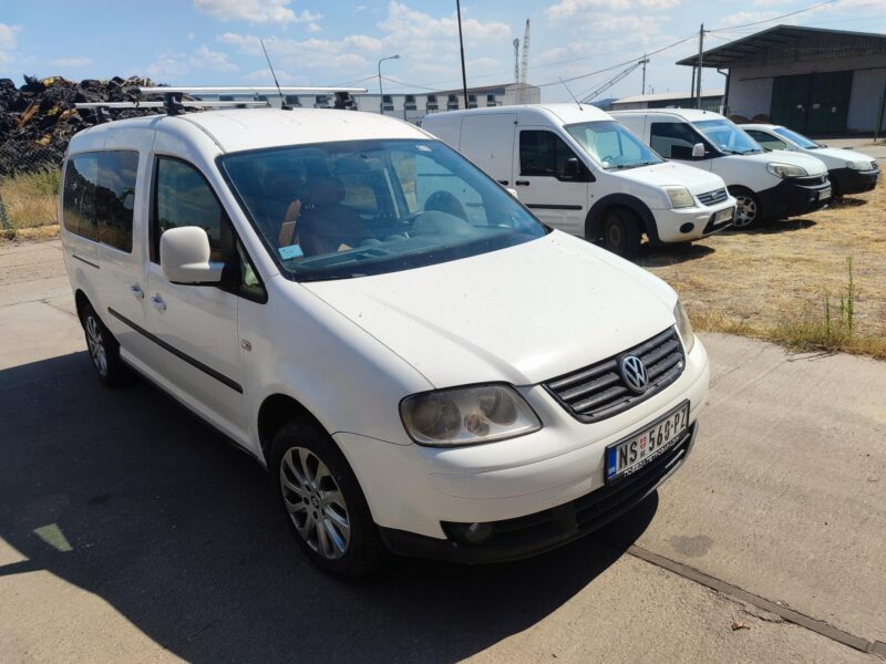 VW kedi