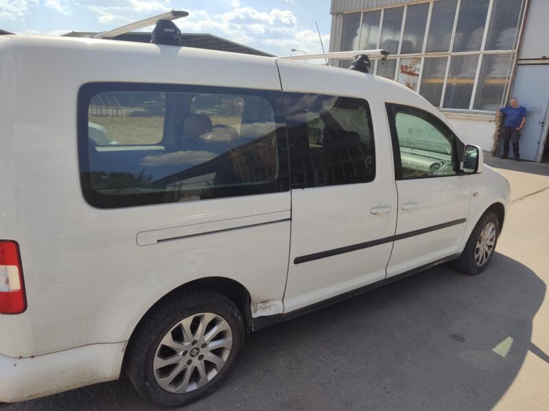 VW kedi
