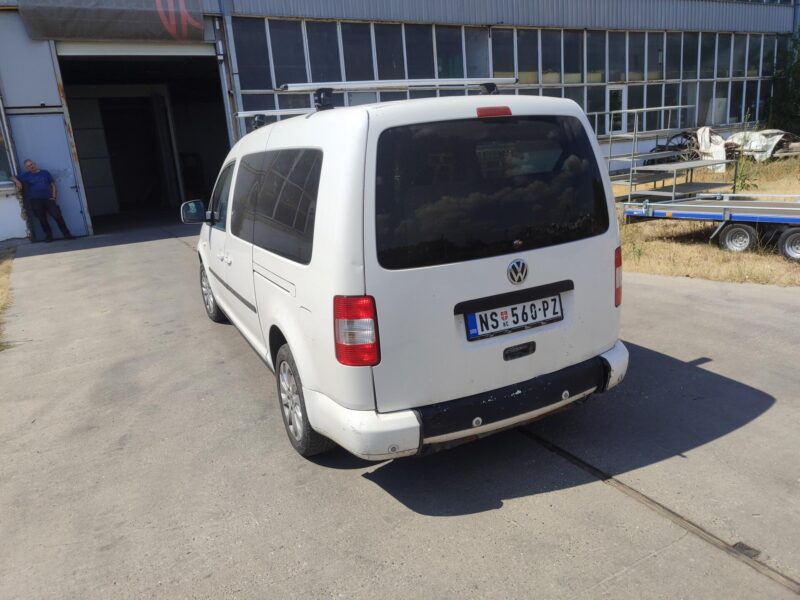 VW kedi